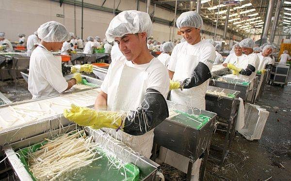 Gobierno apuesta por la generación de empleo tras impacto económico por el COVID19 gobierno-apuesta-por-la-generacion-de-empleo-tras-impacto-economico-por-el-covid19
